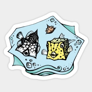 Funny angular Boxfishes Sticker